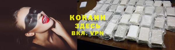 дмт Ладушкин