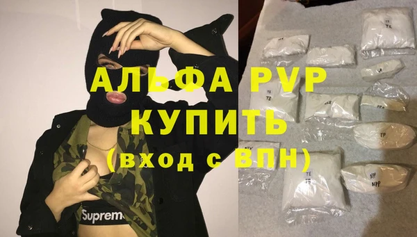 дмт Ладушкин